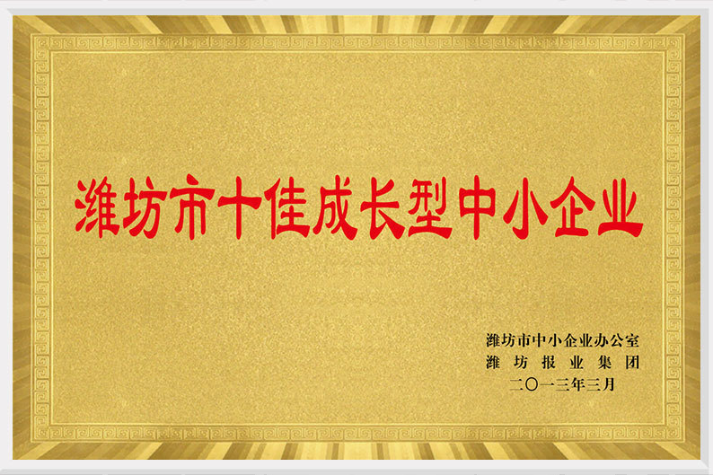 潍坊市十佳成长型中小企业